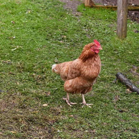 The Byre *